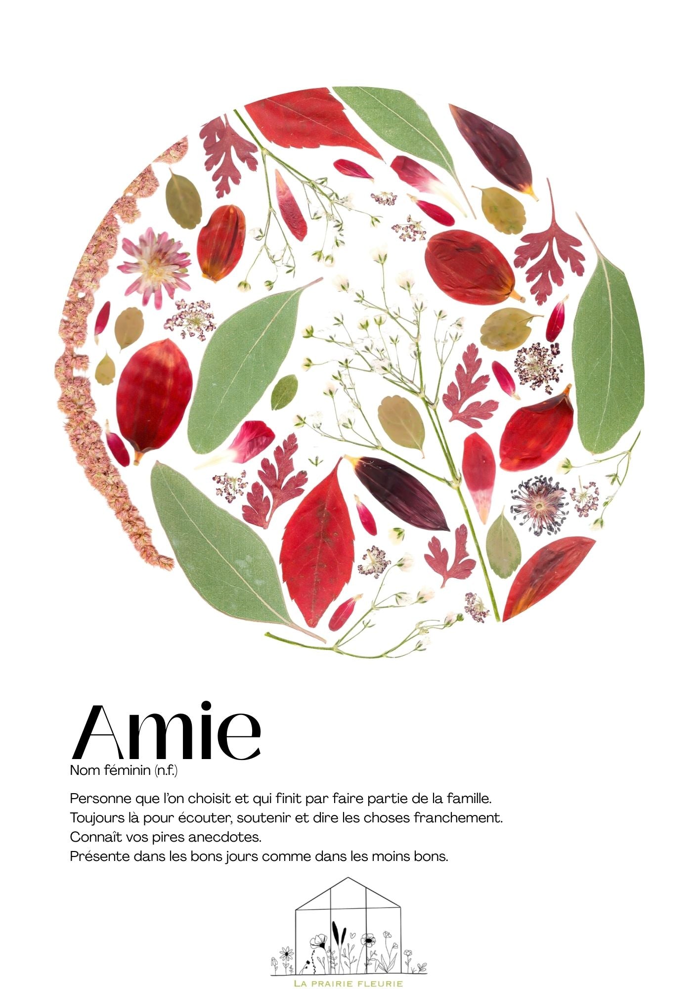 Affiche Amie