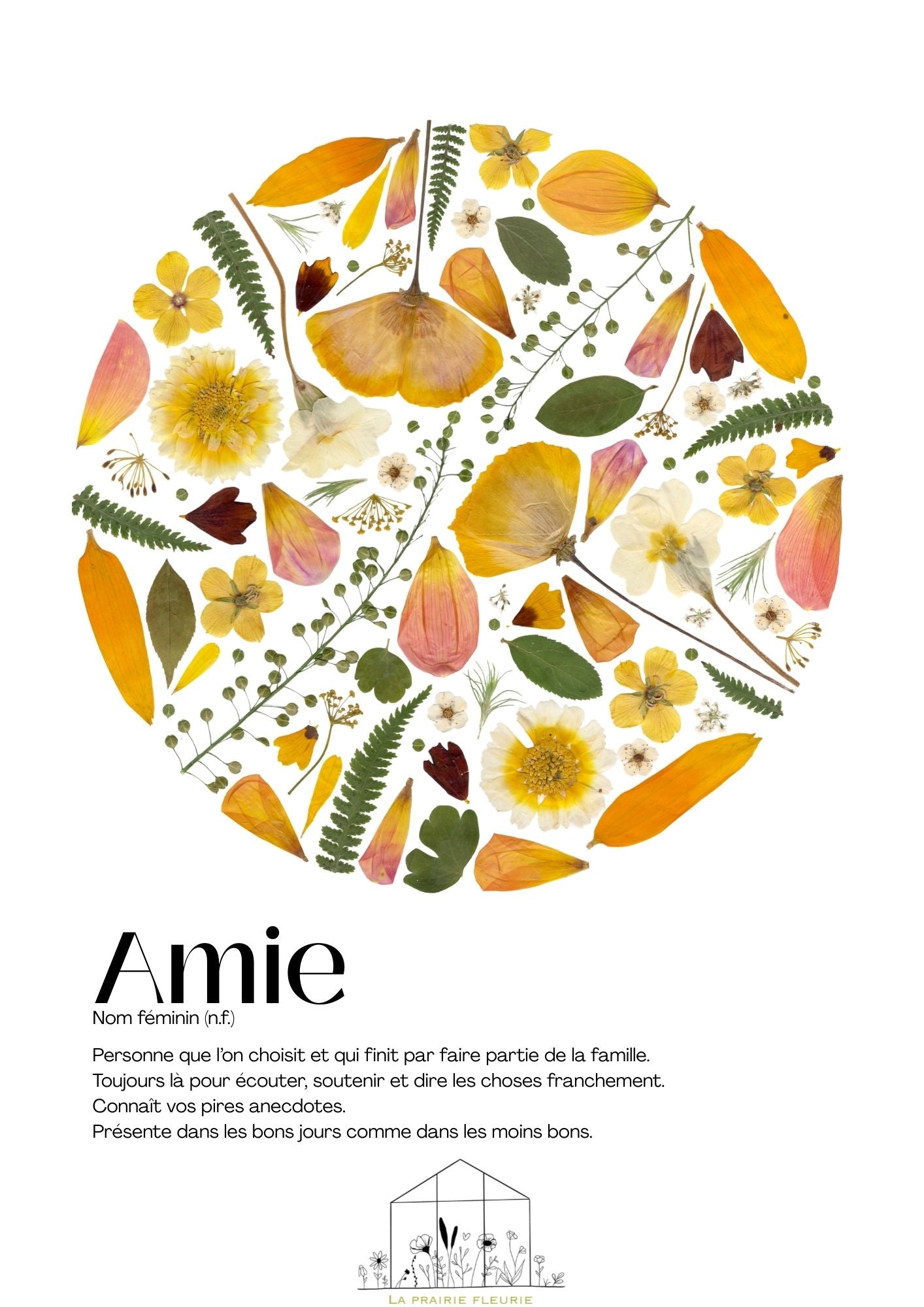 Affiche Amie