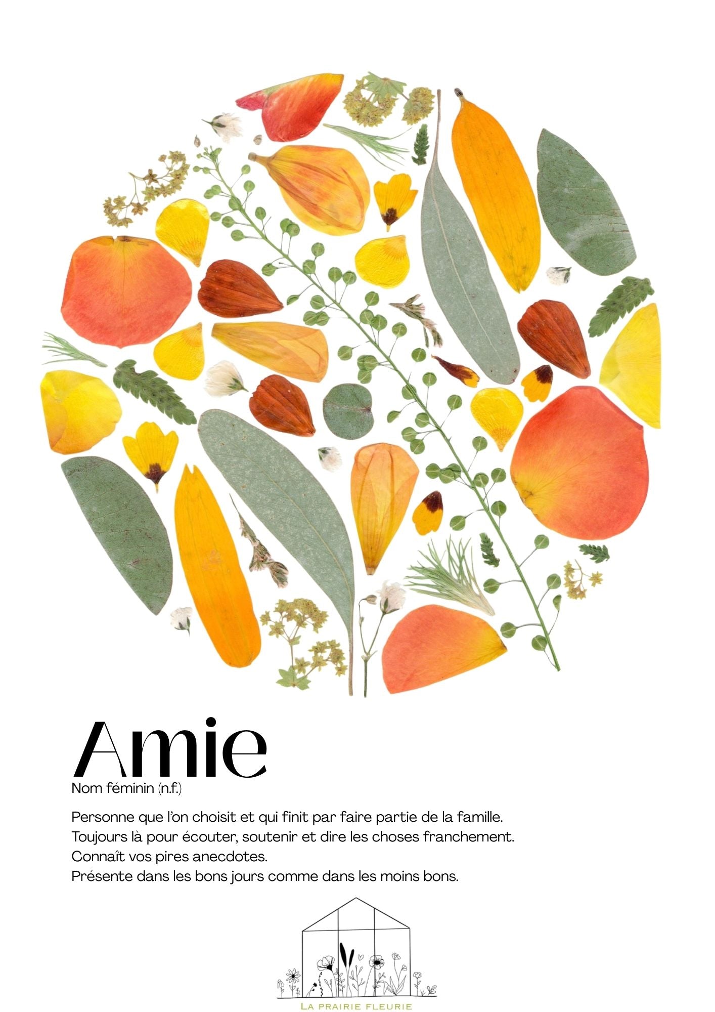 Affiche Amie