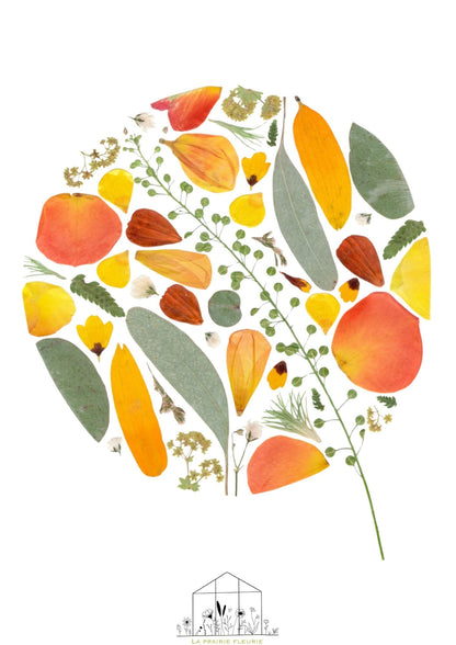 Affiche Prairie Fleurie n°1