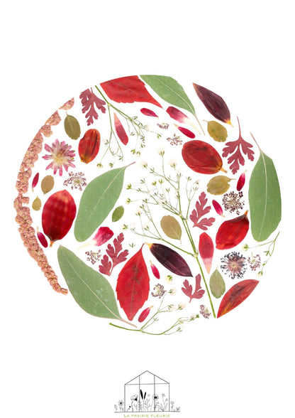 Affiche Prairie Fleurie n°2