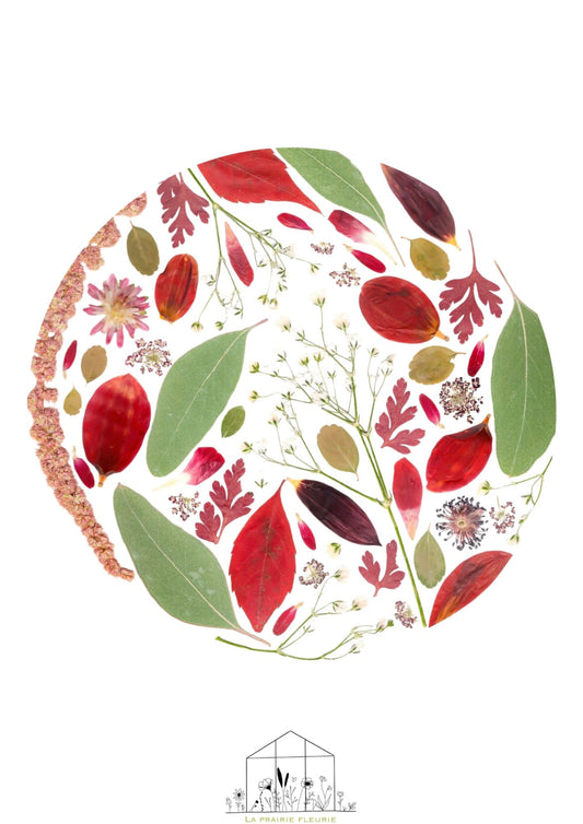 Affiche Prairie Fleurie n°2
