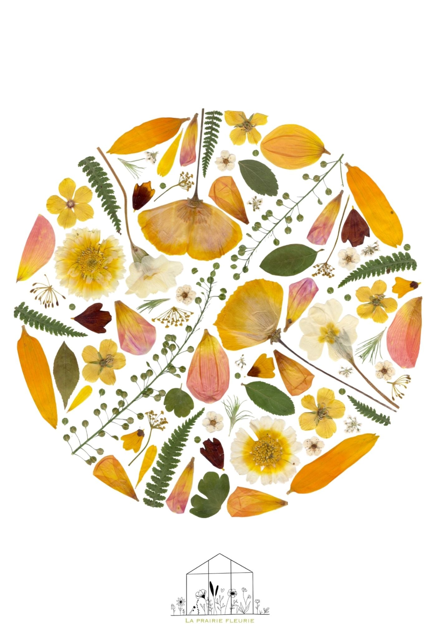 Affiche Prairie Fleurie n°3