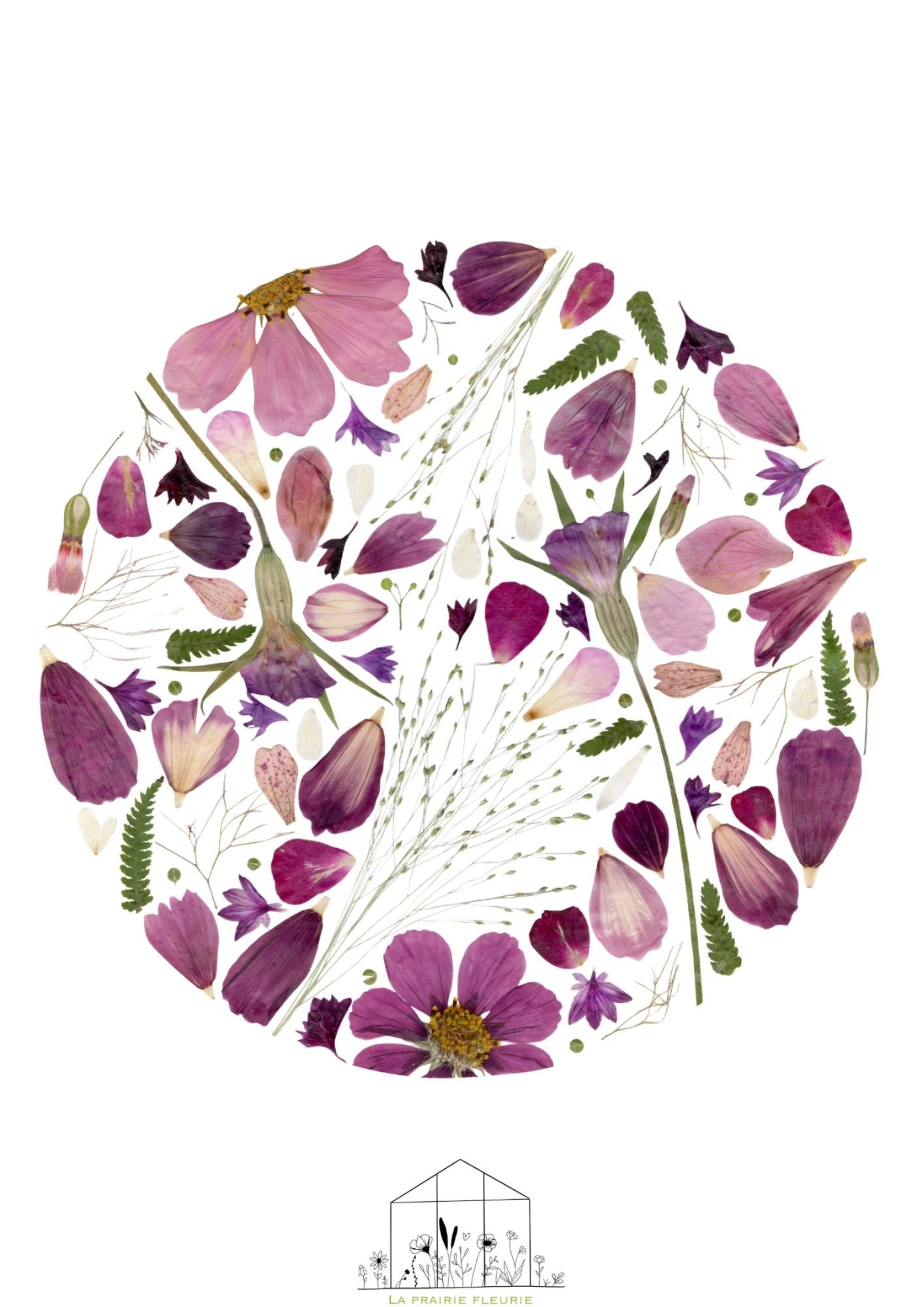 Affiche Prairie Fleurie n°4