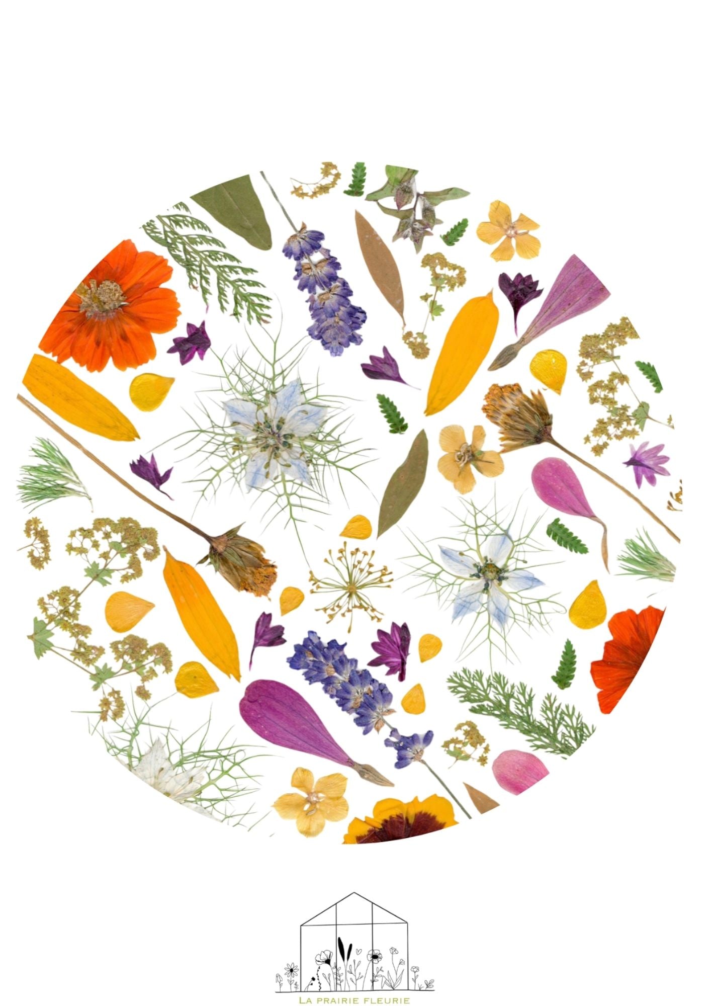Affiche Prairie Fleurie n°5