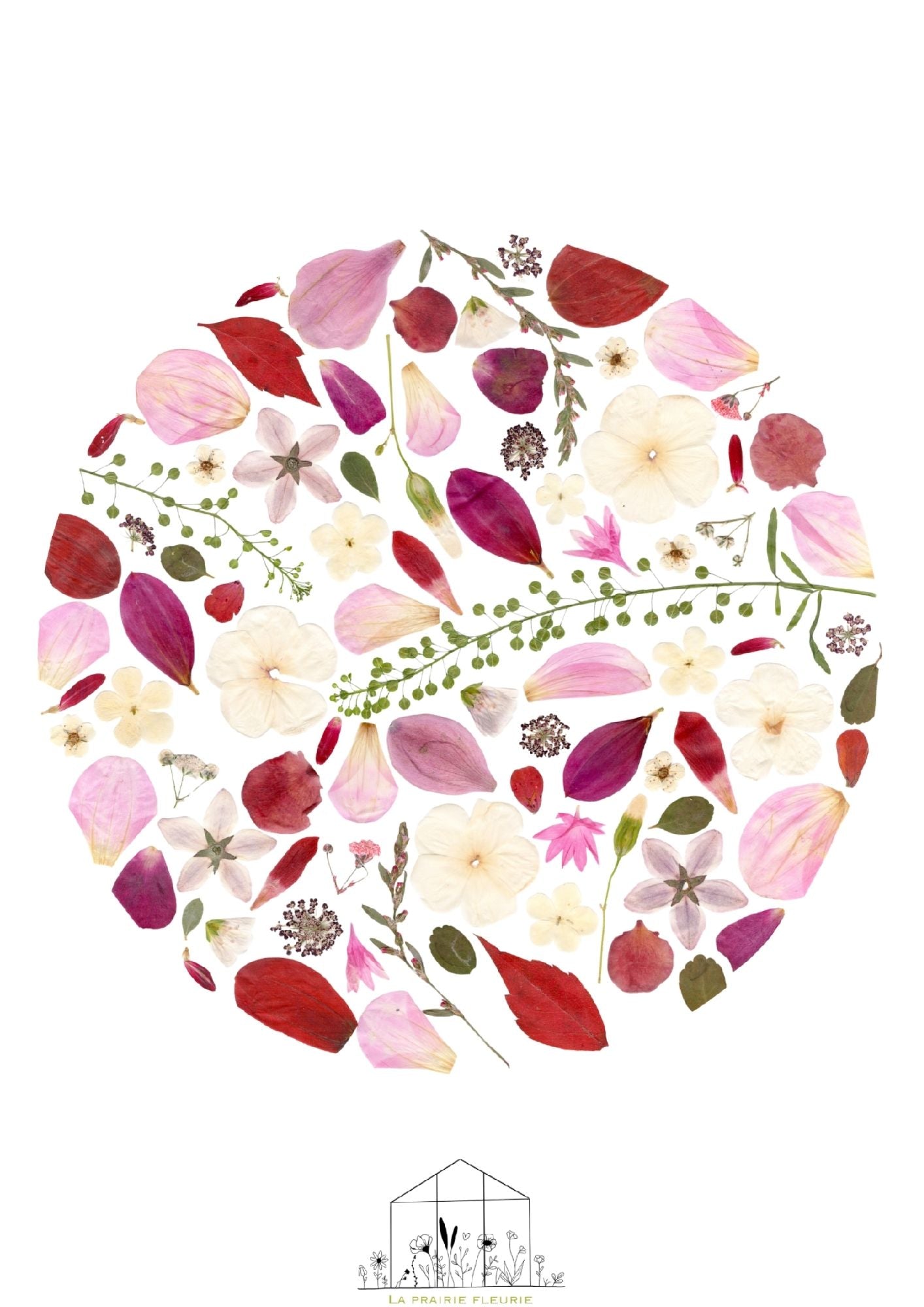Affiche Prairie Fleurie n°6