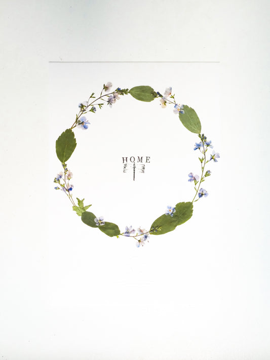 Herbier - Home